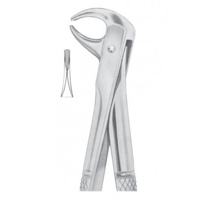 Fig. 105 lower incisors