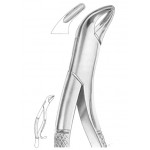  Fig. 14 lower incisors
