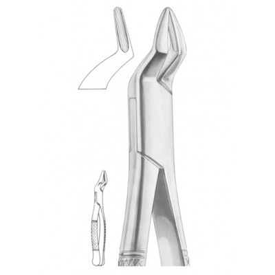  Fig. 286 upper incisors and roots