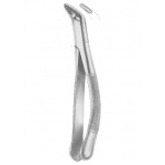  CRYER Fig. 151 lower incisors, premolars, roots