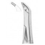  CRYER Fig. 151A lower incisors, premolars, roots